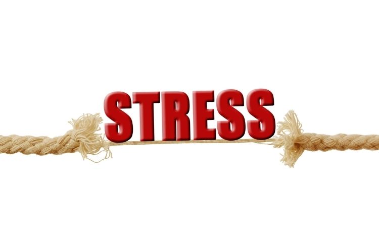 Stress